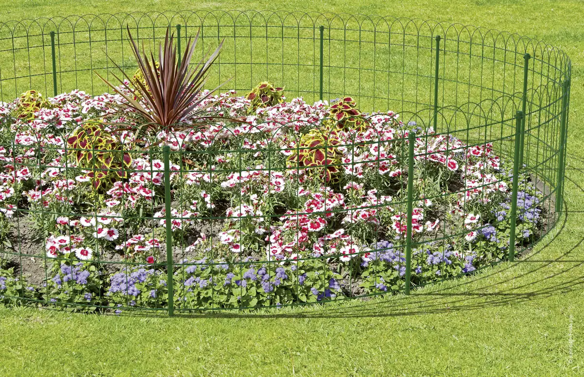 Alberts Ziergeflecht Rondo 10 m 40 cm hoch grün Alberts Ziergeflecht Rondo 10 m 40 cm hoch grün