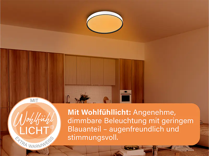 MegaLight LED-Deckenleuchte Shining Jupiter Black Ø38 cm Backlight dimmbar