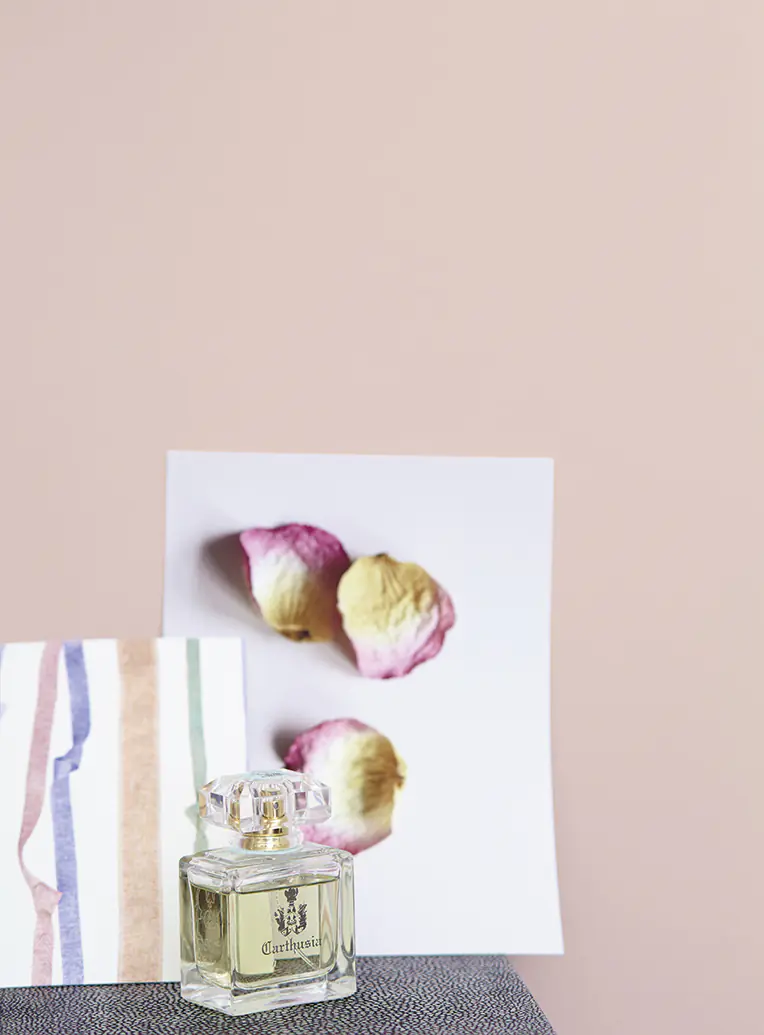 Alpina Feine Farben Wandfarbe No. 23 Wolken in Rosê - verträumtes graurosé 2,5 L