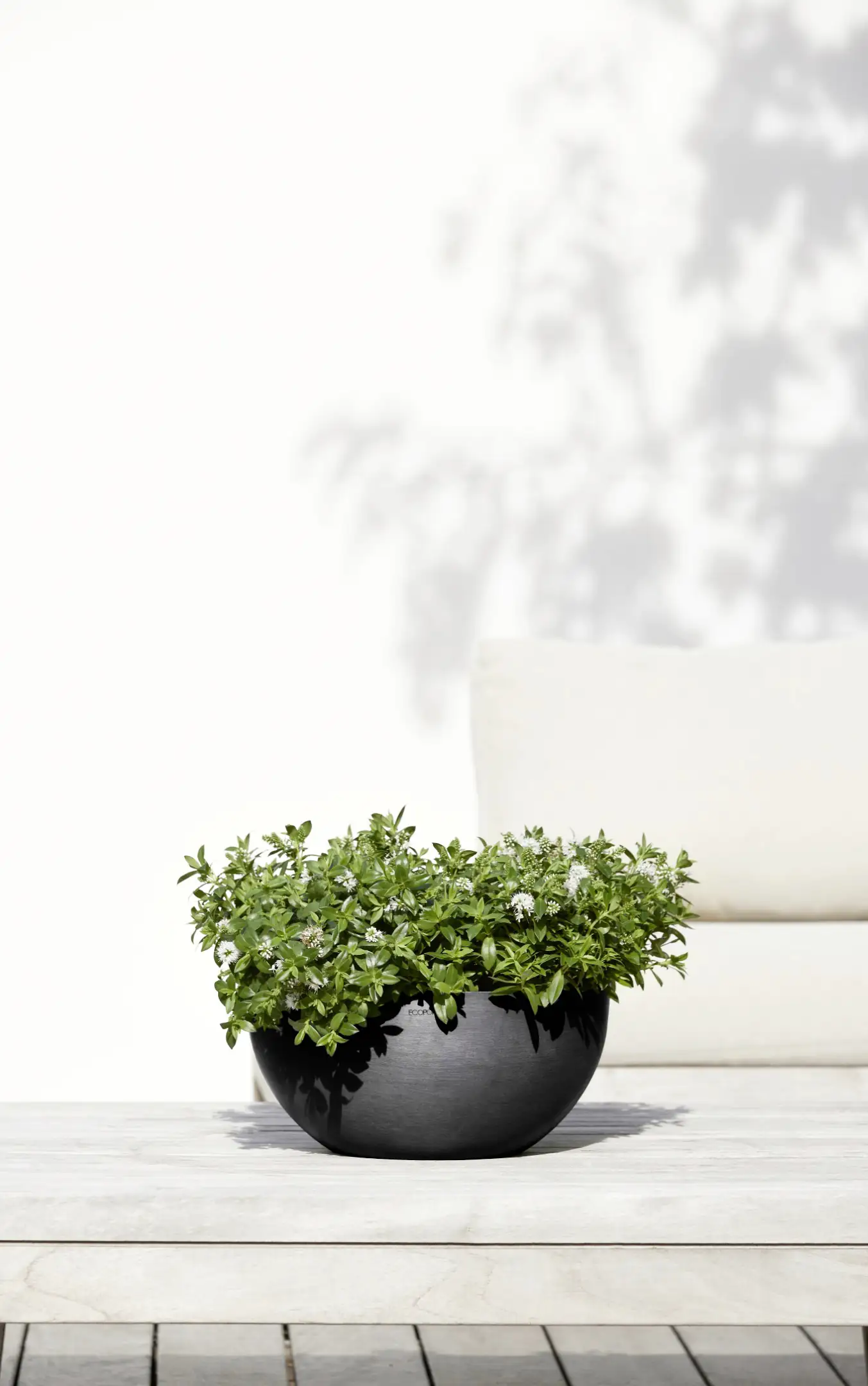 Ecopots Pflanztopf Brussels Ø 30 x 14 cm dunkelgrau