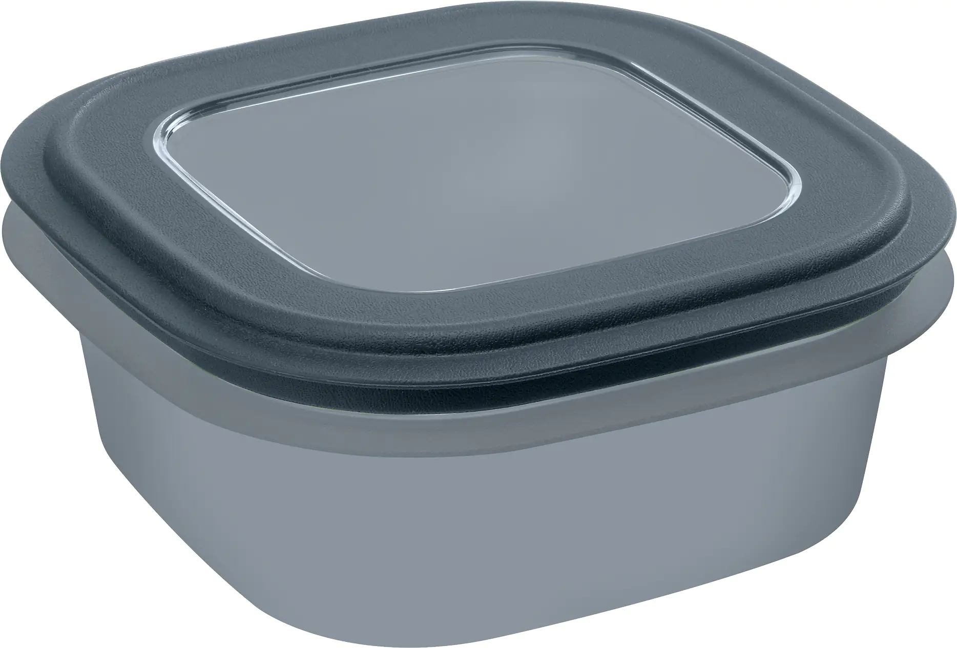 Sunware Frischhaltedose Sigma Home 2,8 L blaugrau