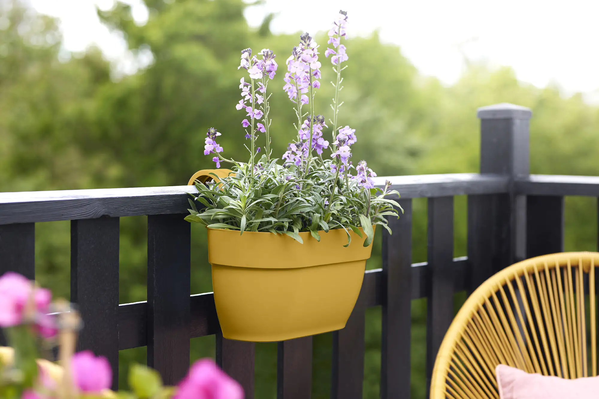 Elho Blumentopf zum Hängen Kunststoff gelb 36 x 24,1 x 26,5 cm Vibia Campana Easy Medium Elho Blumentopf zum Hängen Kunststoff gelb 36 x 24,1 x 26,5 cm Vibia Campana Easy Medium