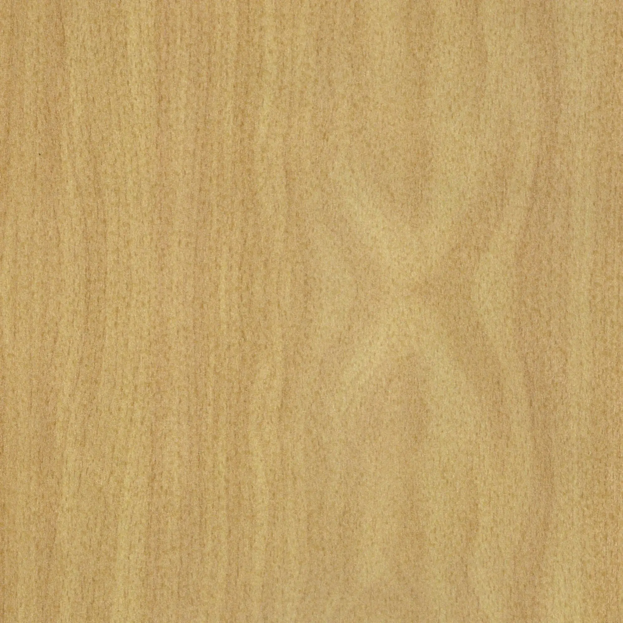 Neuhofer Übergangsprofil 90 cm, 37,5 x 5,5 mm Neuhofer Übergangsprofil 90 cm, 37,5 x 5,5 mm