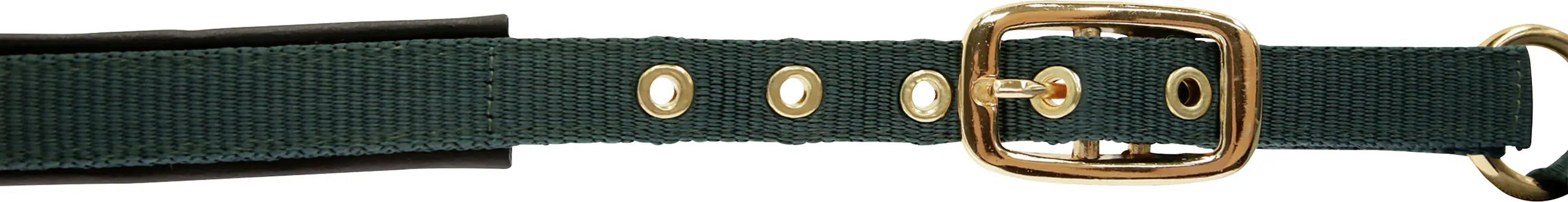 Kerbl Covalliero Fohlenhalfter TopLine forest