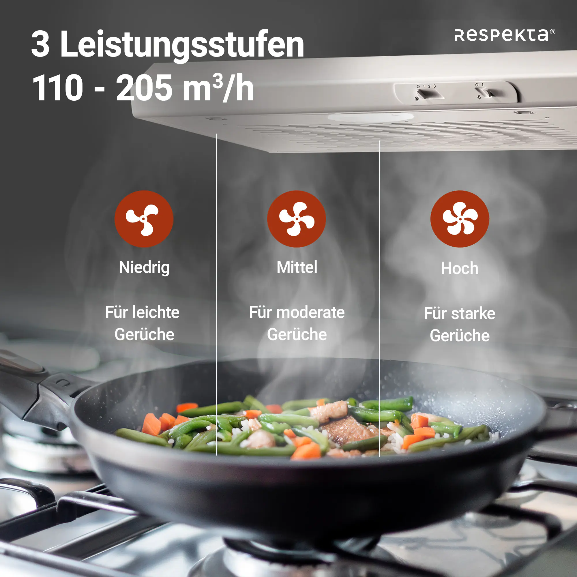 respekta Unterbauhaube 60 cm Typ / Modell: DH 620 WL 60 cm respekta Unterbauhaube 60 cm Typ / Modell: DH 620 WL 60 cm