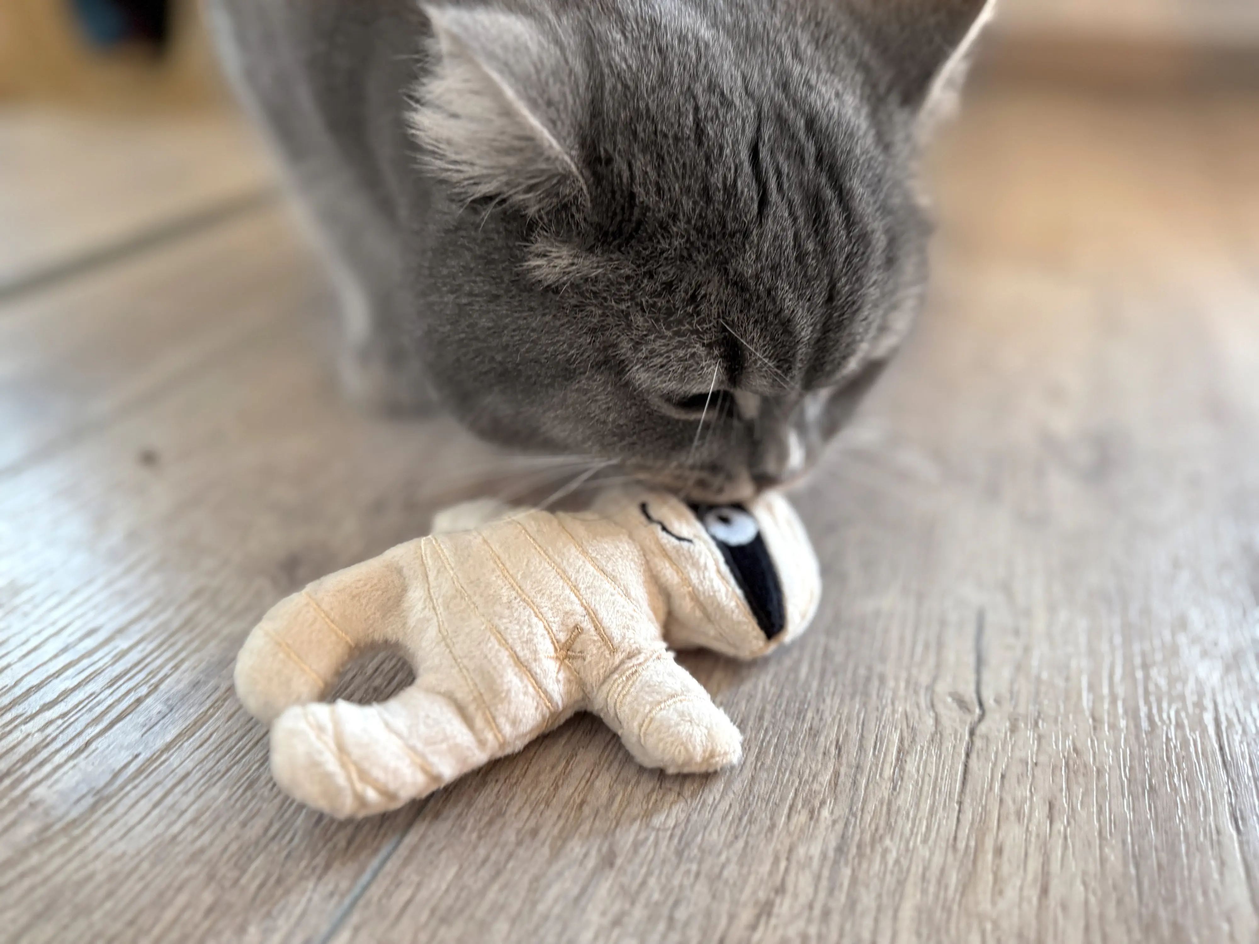 Aumüller Katzenspielzeug Mumie 13 cm schwarz beige Aumüller Katzenspielzeug Mumie 13 cm schwarz beige