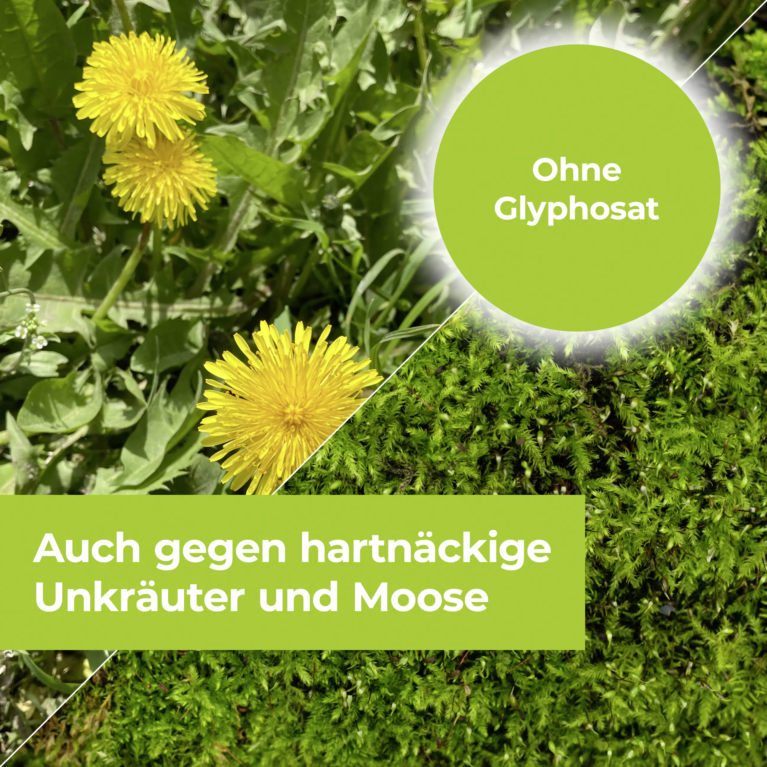 Protect Garden Turboclean Unkrautfrei 1 l