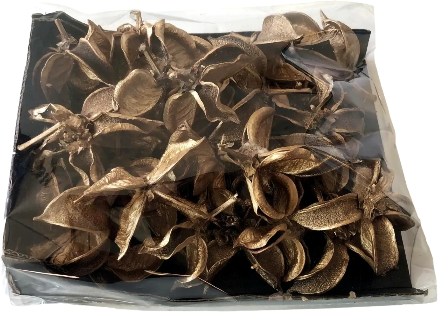 Star Home Decor Baumwollköpfe goldDekomix 20 x 15 x 4,5 cm