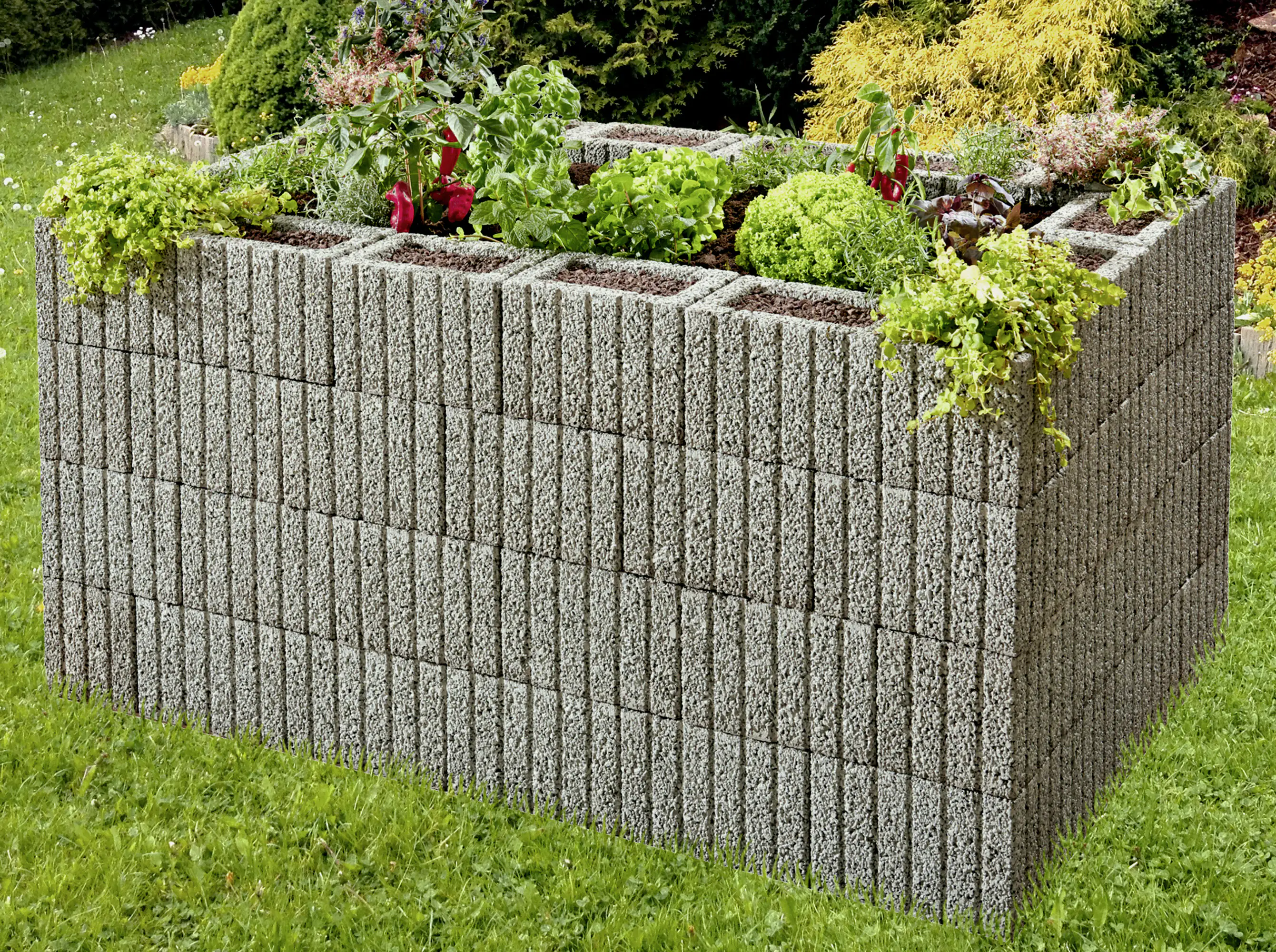 4024991262281_2234271 Kann Pflanzstein Mini 30 x 20 x 20 cm grau