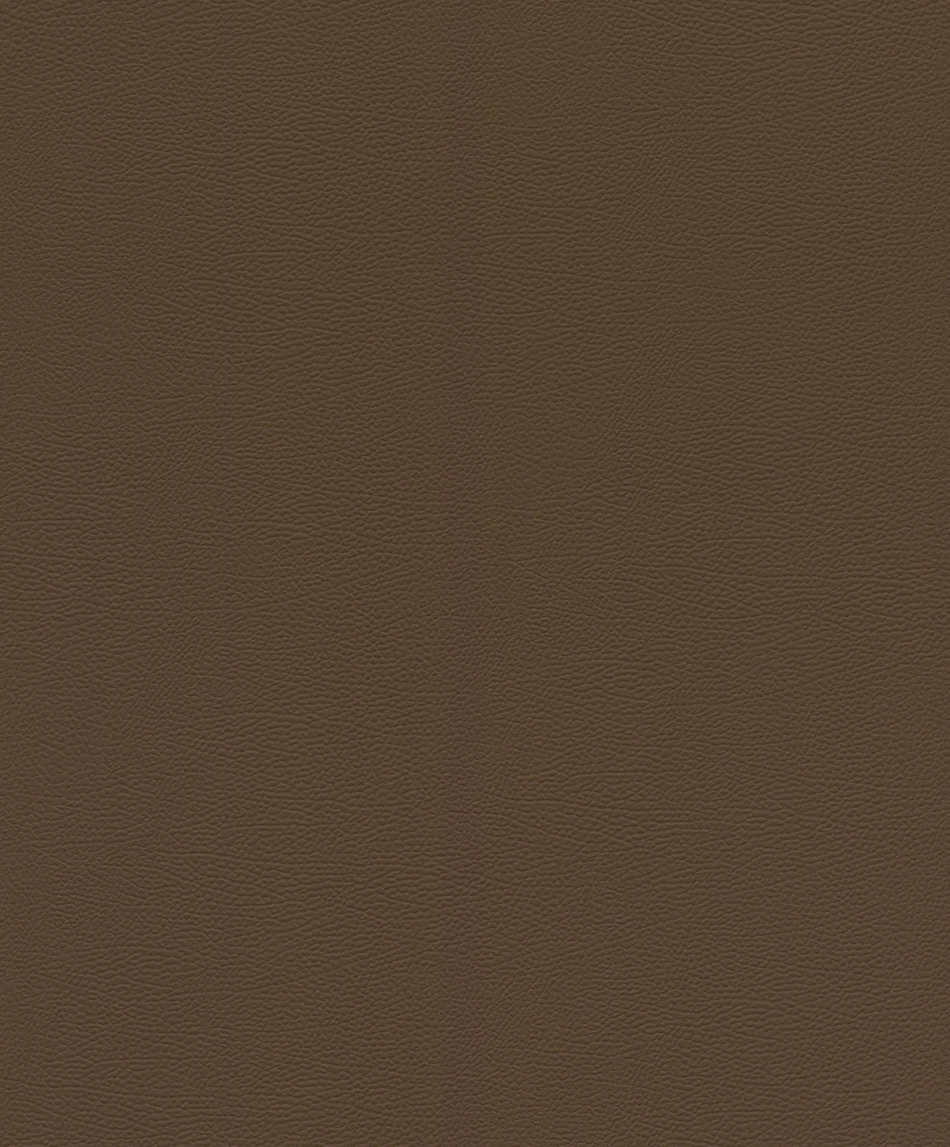 Rasch Vliestapete 752663 Braun-Dunkelbraun Uni 10,05 m x 0,53 m