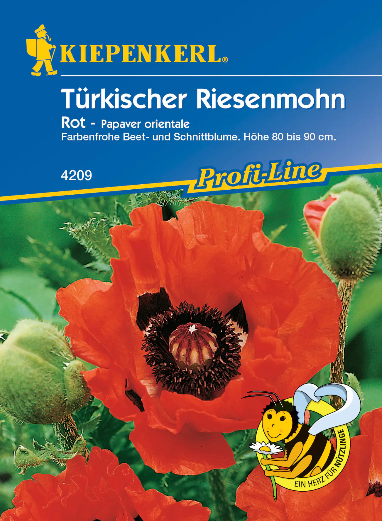 Kiepenkerl Türkischer Riesemohn Olympiafeuer Kiepenkerl Türkischer Riesemohn Olympiafeuer