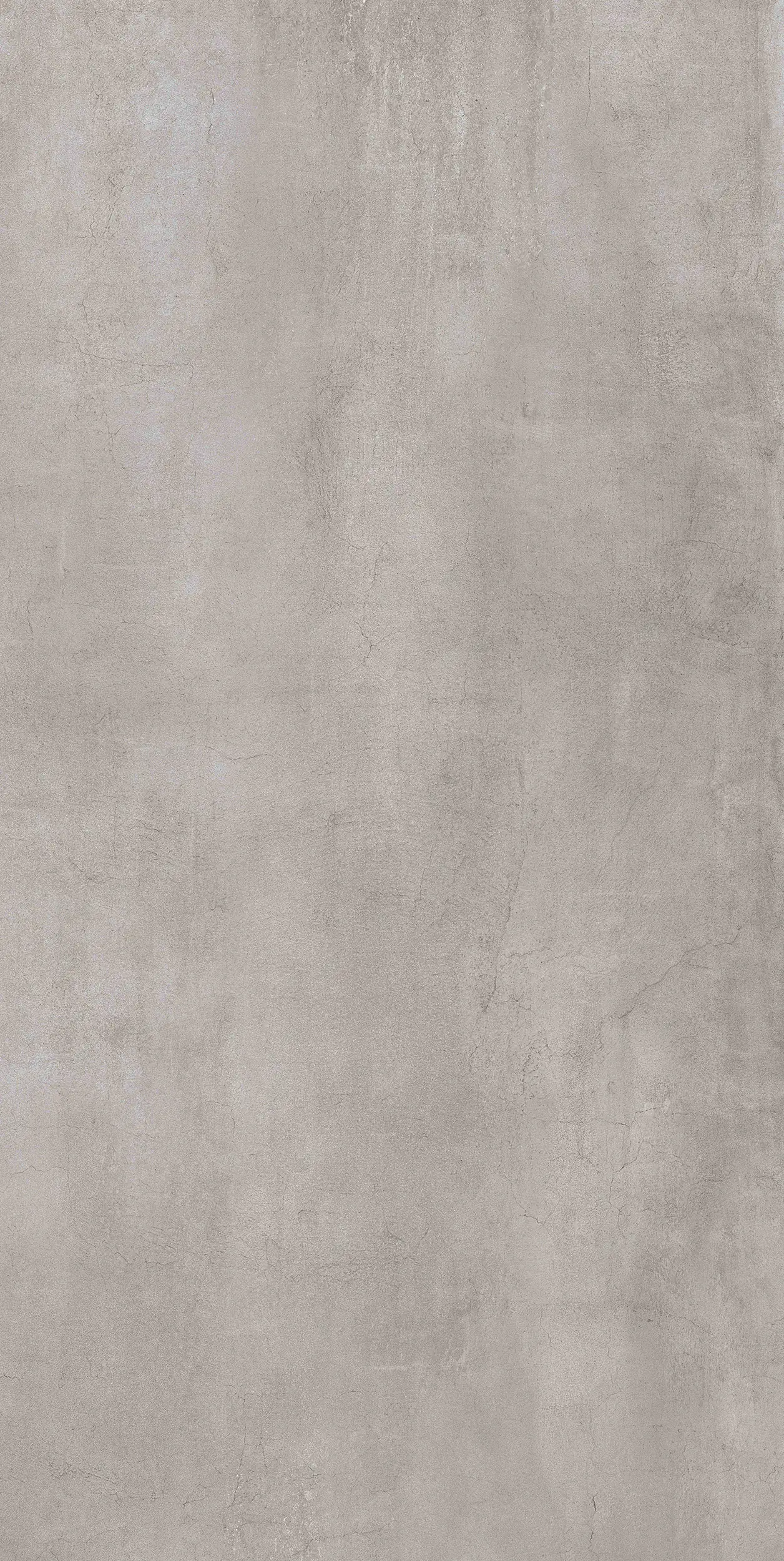 8033866716015 Bodenfliese Feinsteinzeug Timeless 60 x 120 cm grau