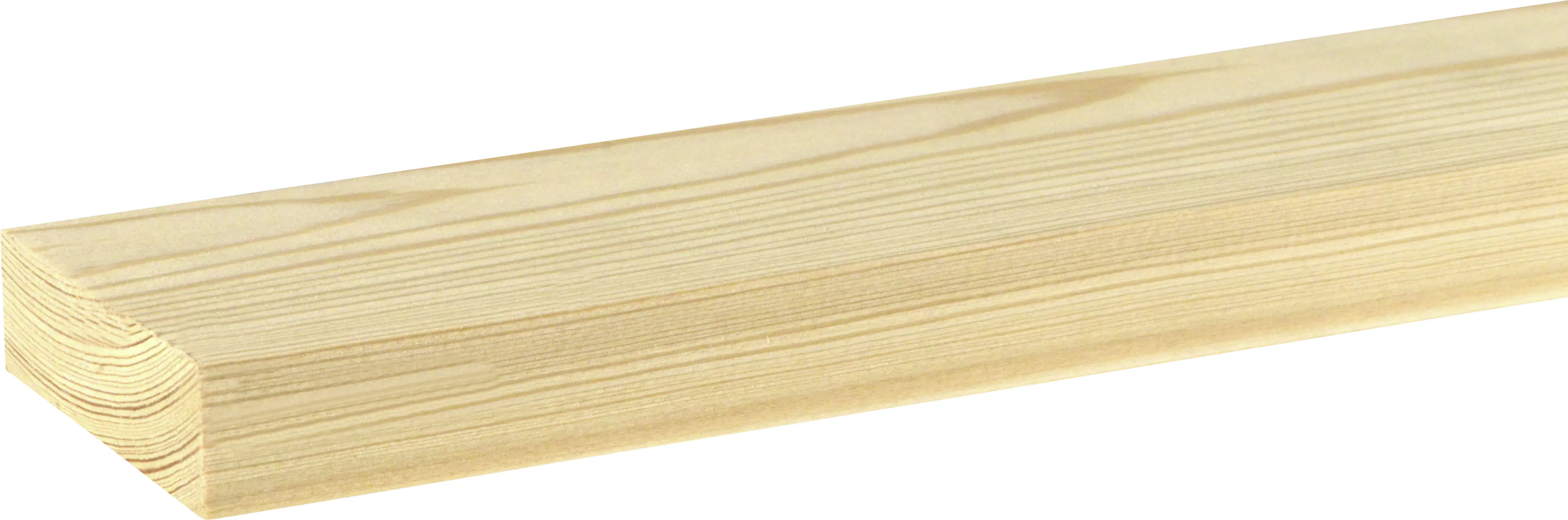 FN Neuhofer Flachleiste 200 cm 58,5 x 18,7 mm Lärche roh