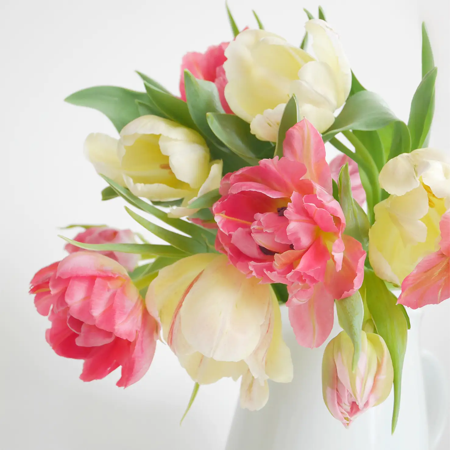 4014995400109 Braun & Company Servietten Motiv Tulip Romance 25 x 25 cm - 20er Pack