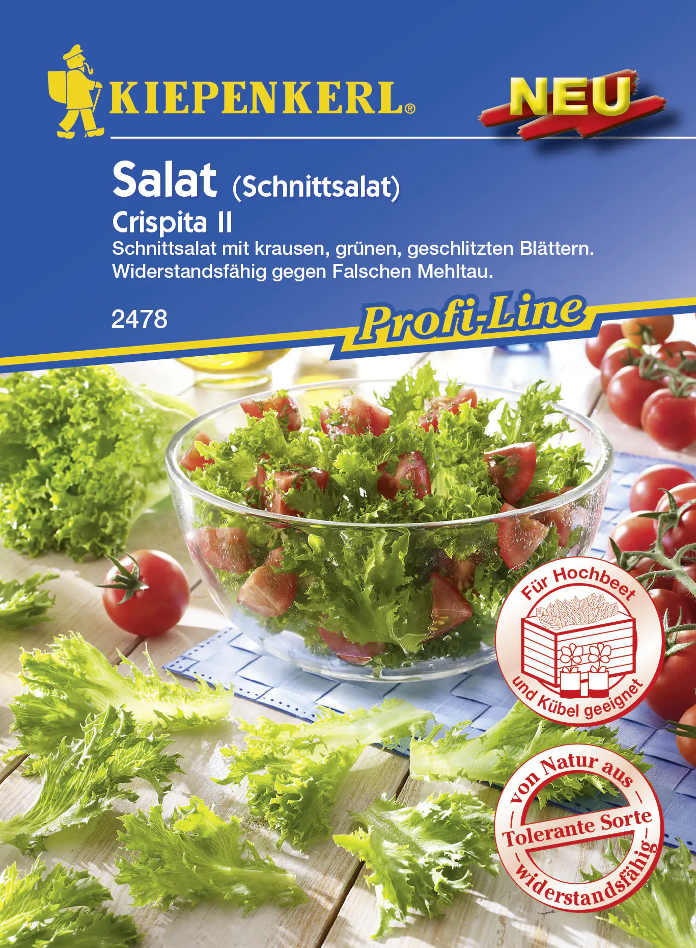 Kiepenkerl Profi-Line Schnittsalat Crispita II Lactuca sativa var.crispa, Inhalt: ca. 200 Pflanzen