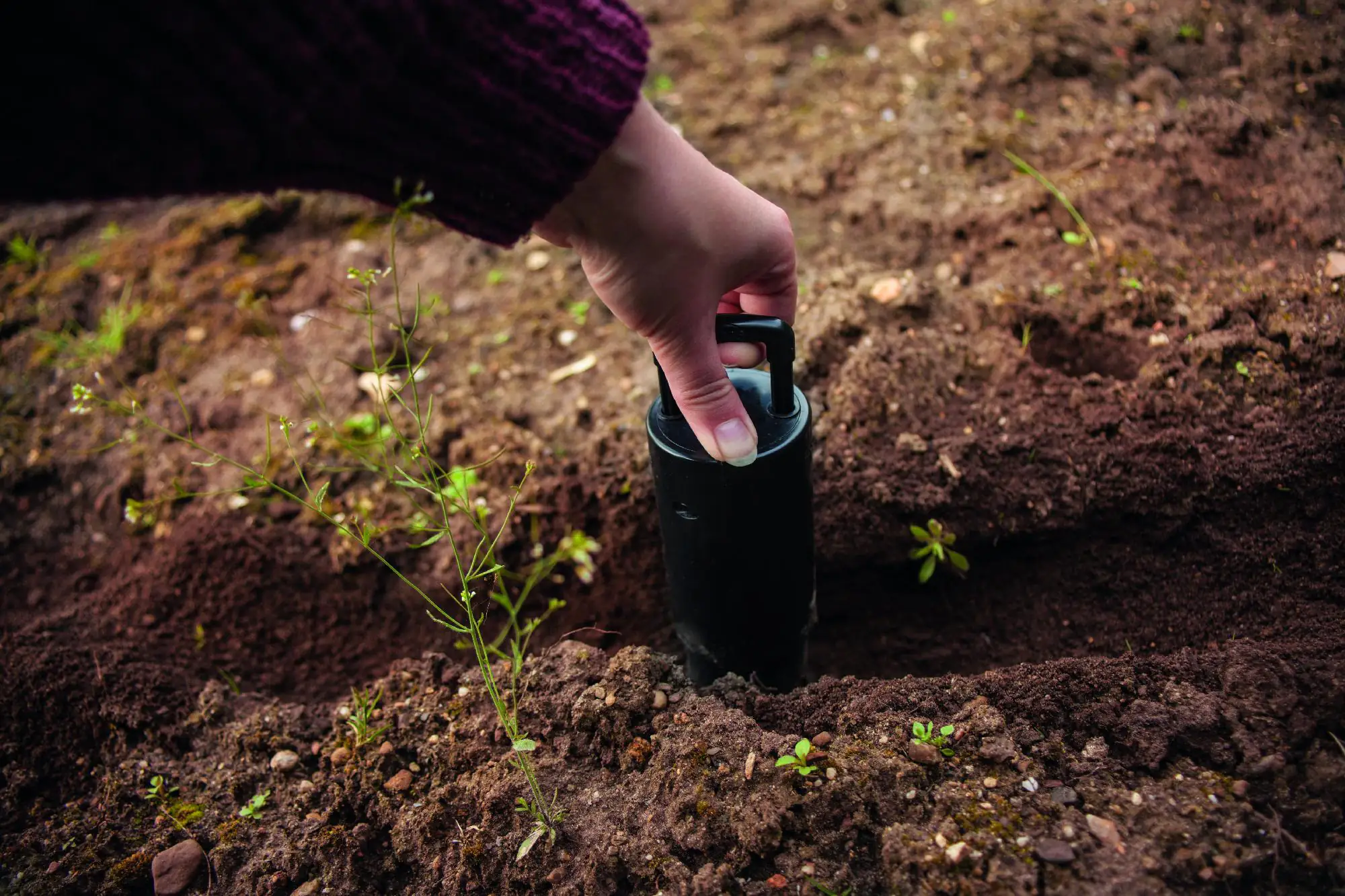 Gardigo Wühlmauszange Kunststoff Wiederverendbar