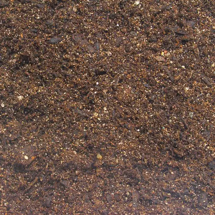 JBL TerraBasis Bodengrund für Regenwaldterrarien