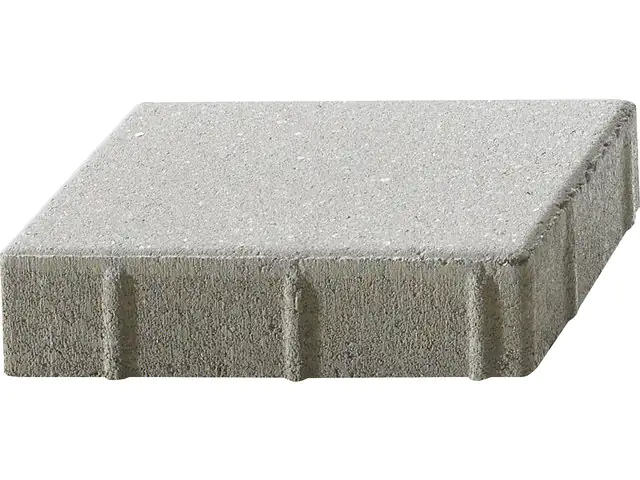 Kann Pflasterstein Vero 22,5 x 15 x 6 cm silbergrau Kann Pflasterstein Vero 22,5 x 15 x 6 cm silbergrau