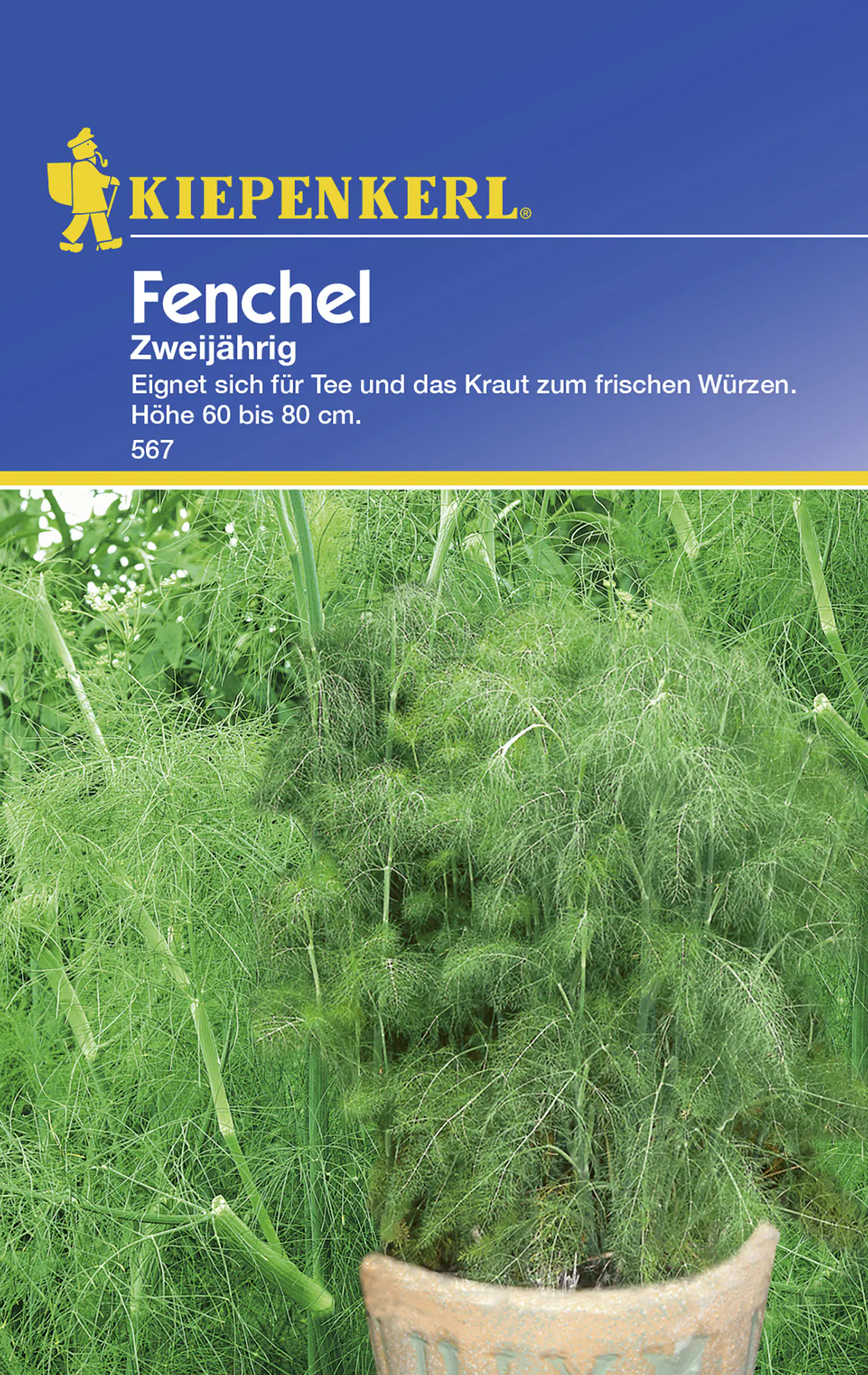 Kiepenkerl Fenchel Zweijährig Foeniculum vulgare, Inhalt: ca. 100 Pflanzen