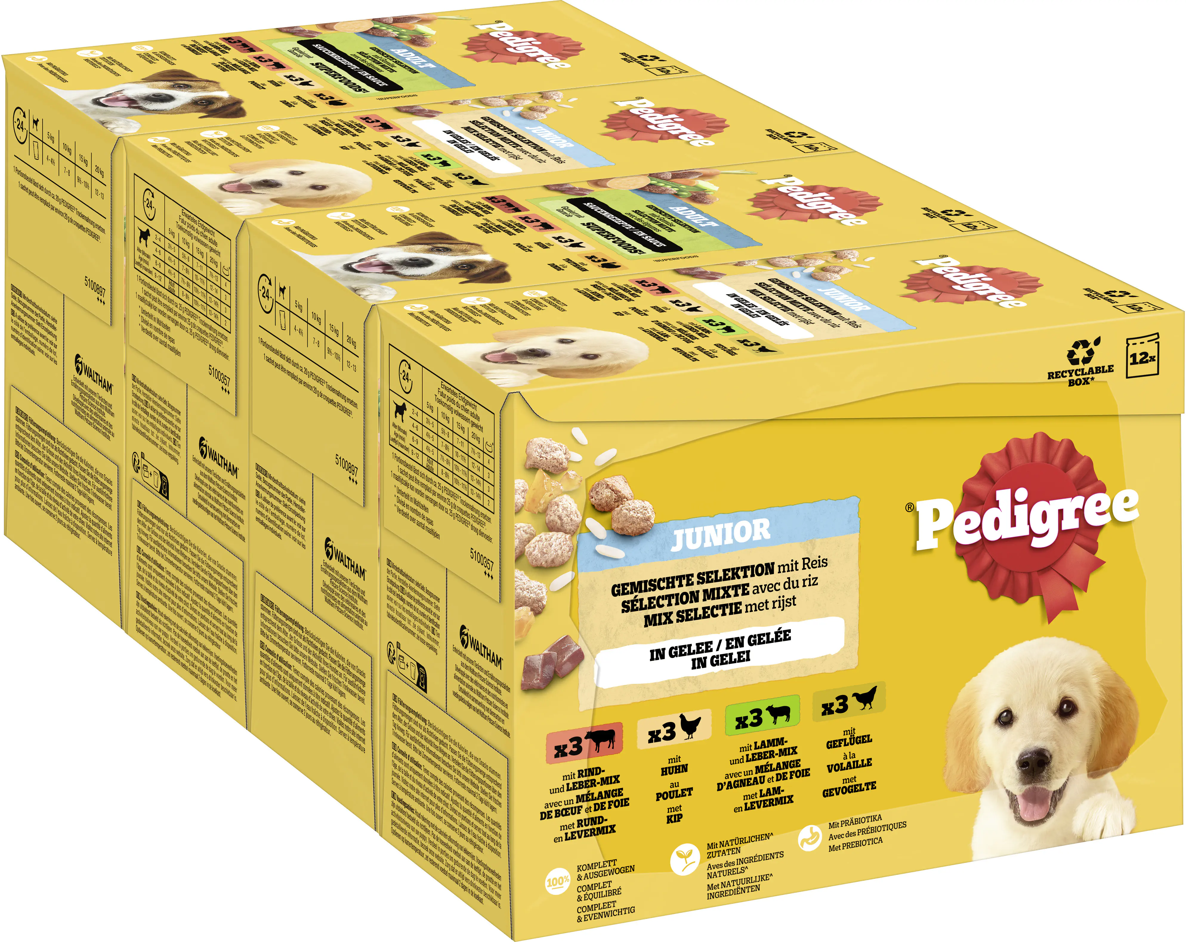 Pedigree Hundenassfutter Junior 12 x 100 g gemischte Selektion in Gelee
