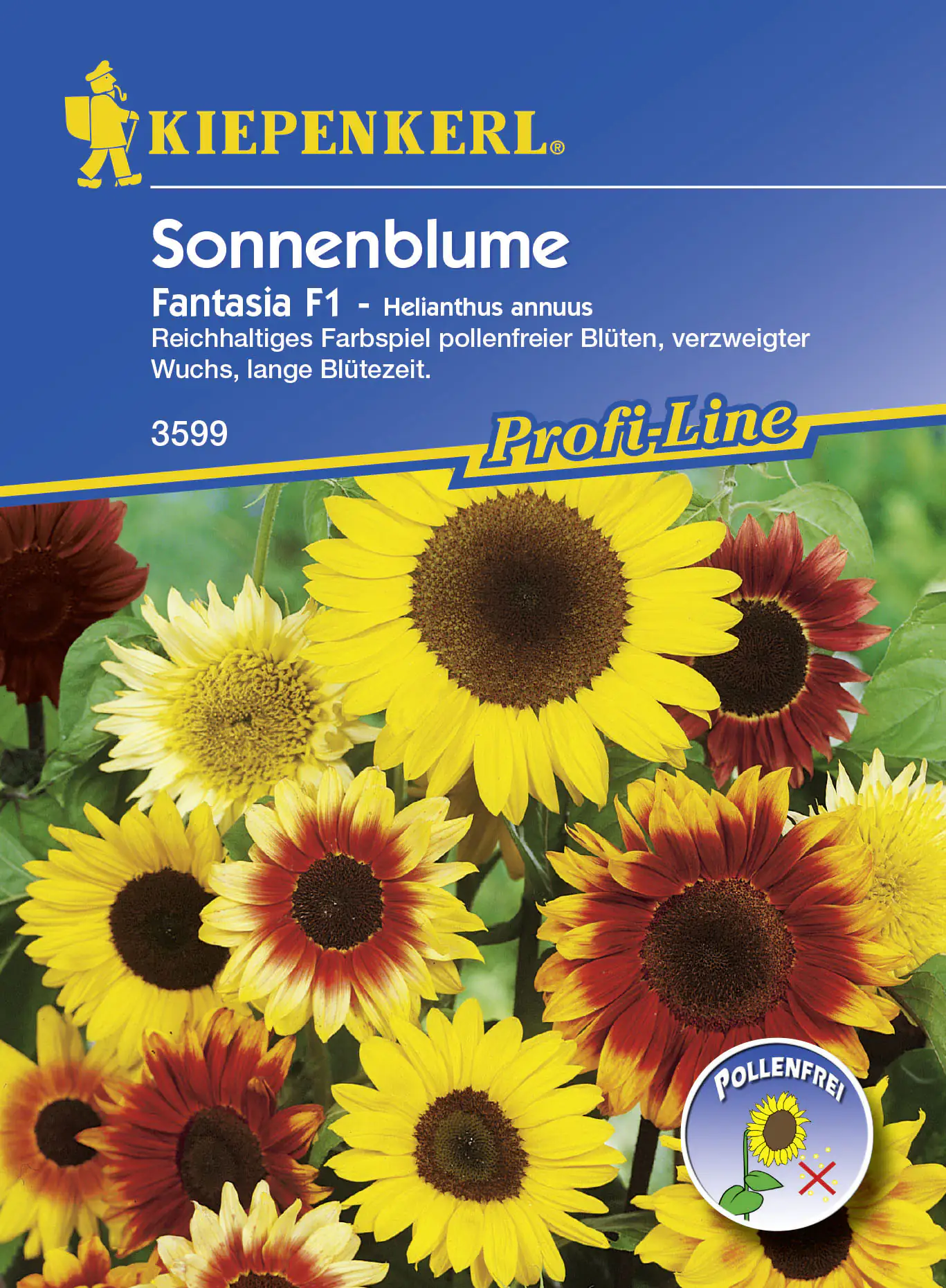 Kiepenkerl Sonnenblume Fantasia Helianthus annuus, Inhalt ca. 20