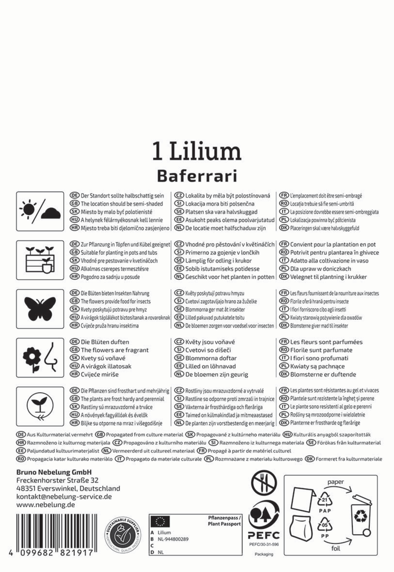 Kiepenkerl Profi-Line Frühjahrsblumenzwiebel Oriental-Lilie Baferrari 1 Stück