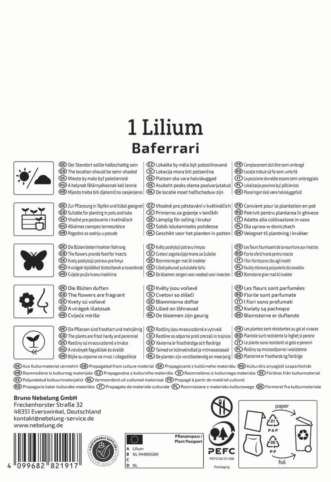 Kiepenkerl Profi-Line Frühjahrsblumenzwiebel Oriental-Lilie Baferrari 1 Stück