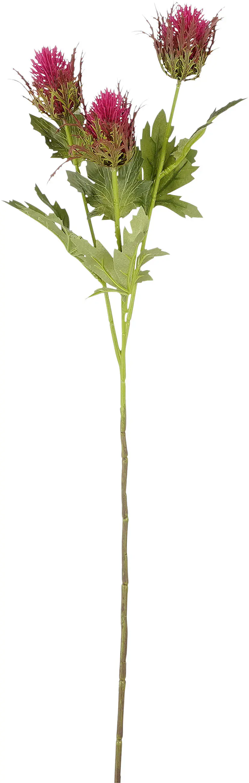 Mica Kunstpflanze Distel dunkelrosa Polyester 67 cm