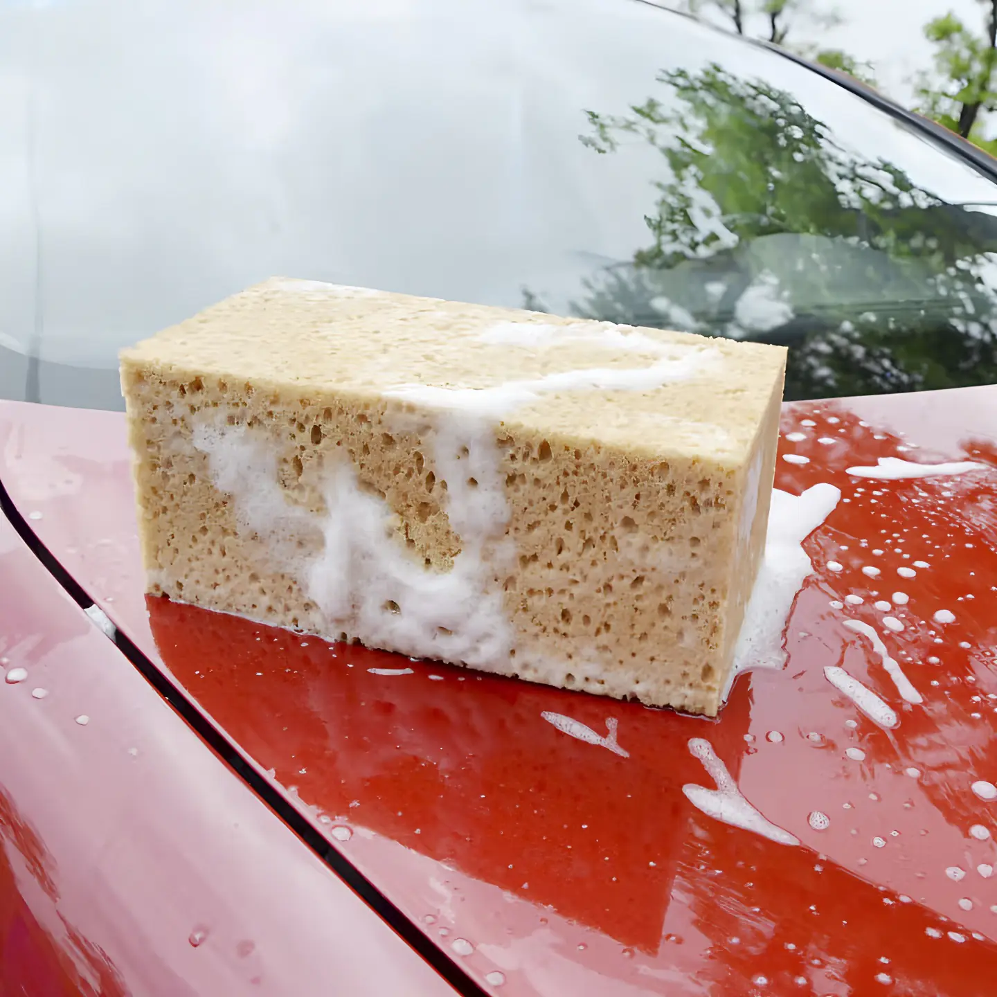 TrendLine Autoschwamm 20 x 13 x 7 cm