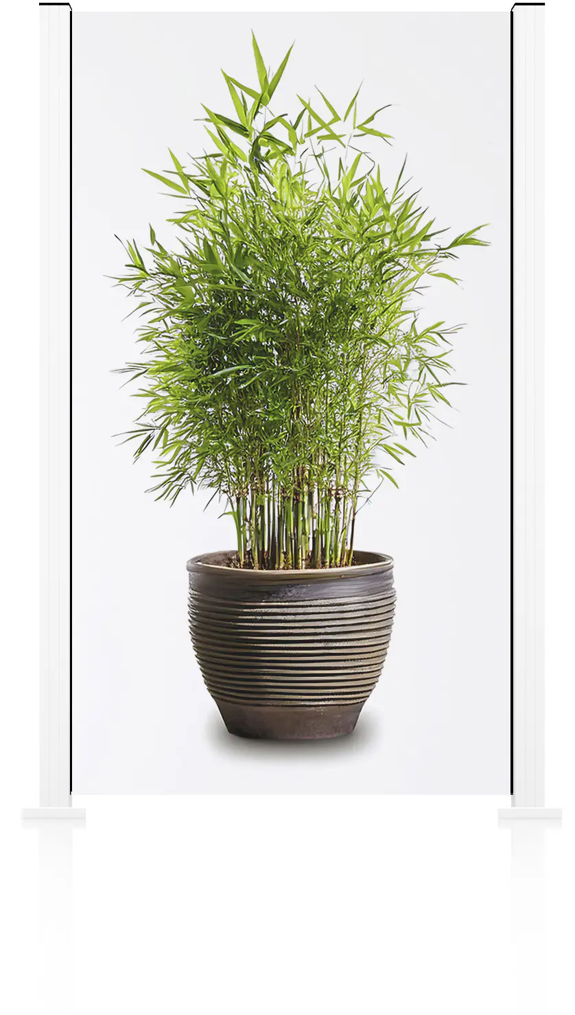 Ambiente Glaszaun Grundset Klarglas 187 x 107,2 cm weiß Ambiente Glaszaun Grundset Klarglas 187 x 107,2 cm weiß
