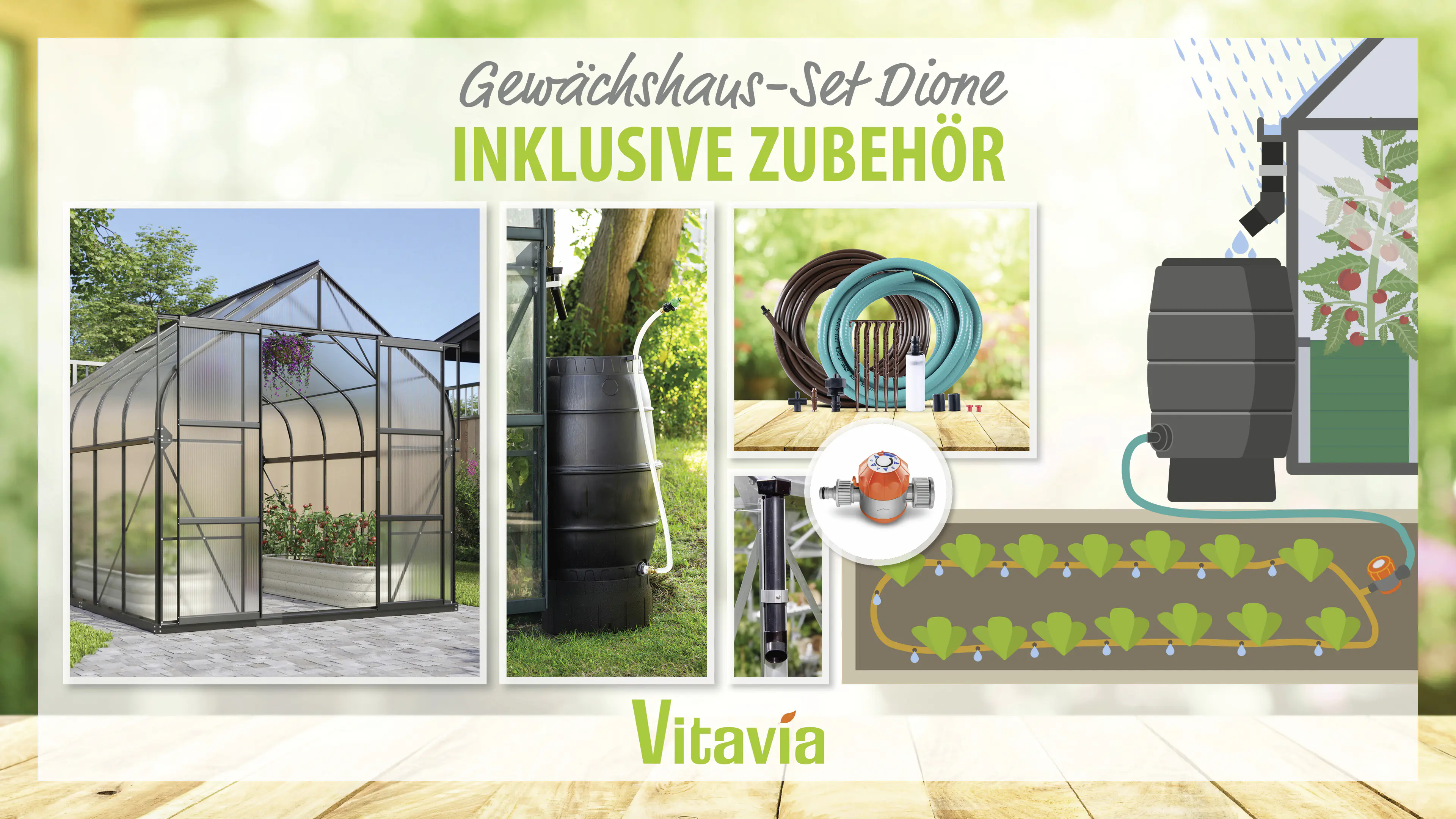 Vitavia Gewächshaus-Set Dione 8300 HKP 4 mm schwarz 254 x 316 cm 