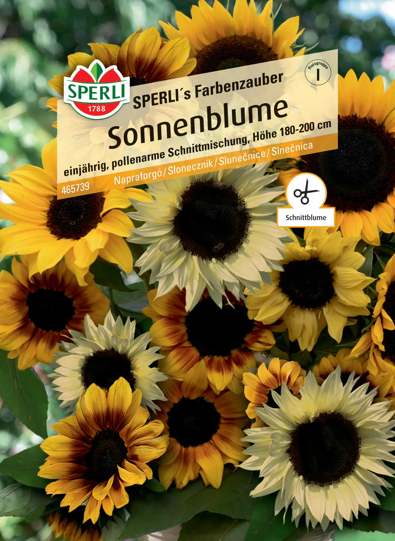Sperli Sonnenblume Schnittblumen-Mischung F1 Sperli Sonnenblume Schnittblumen-Mischung F1