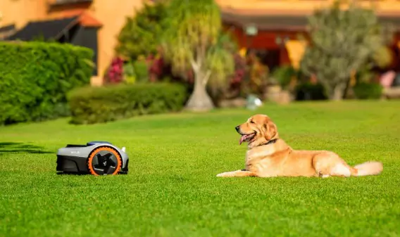 Segway Mähroboter Navimow i105E 22,6 V 18 cm Schnittbreite 500 m²