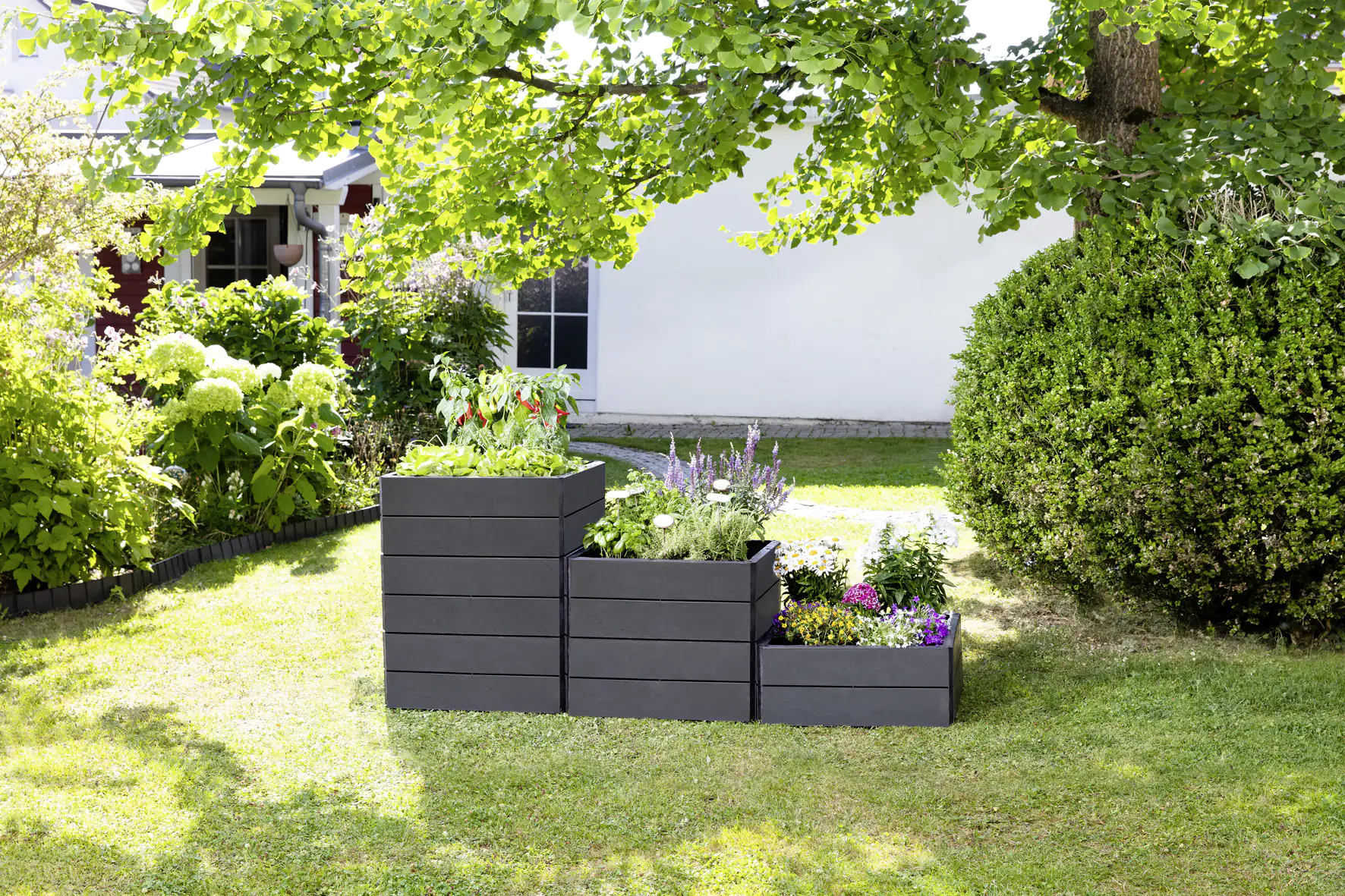 Garantia Hochbeet Ergo Quadro M 60 x 80 x 25 cm (L x B x H)