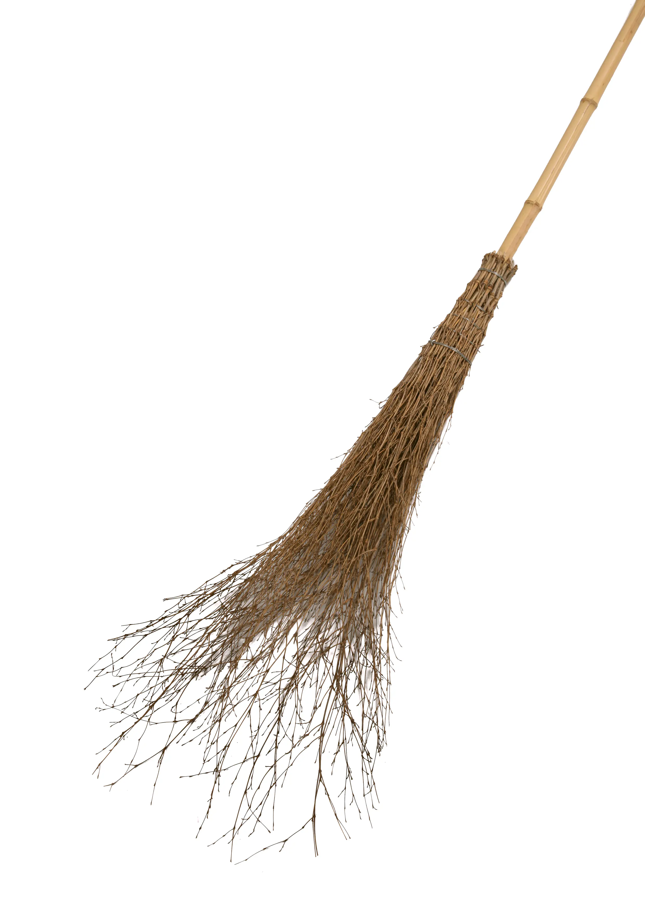 Floraworld Reisigbesen mit Stiel 25 cm Arbeitsbreite