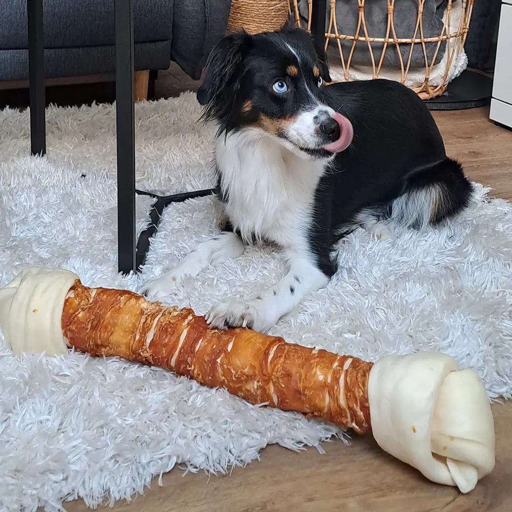 Nobby Hundeleckerli StarSnack Kaustange XXL 1 Stück Hähnchen