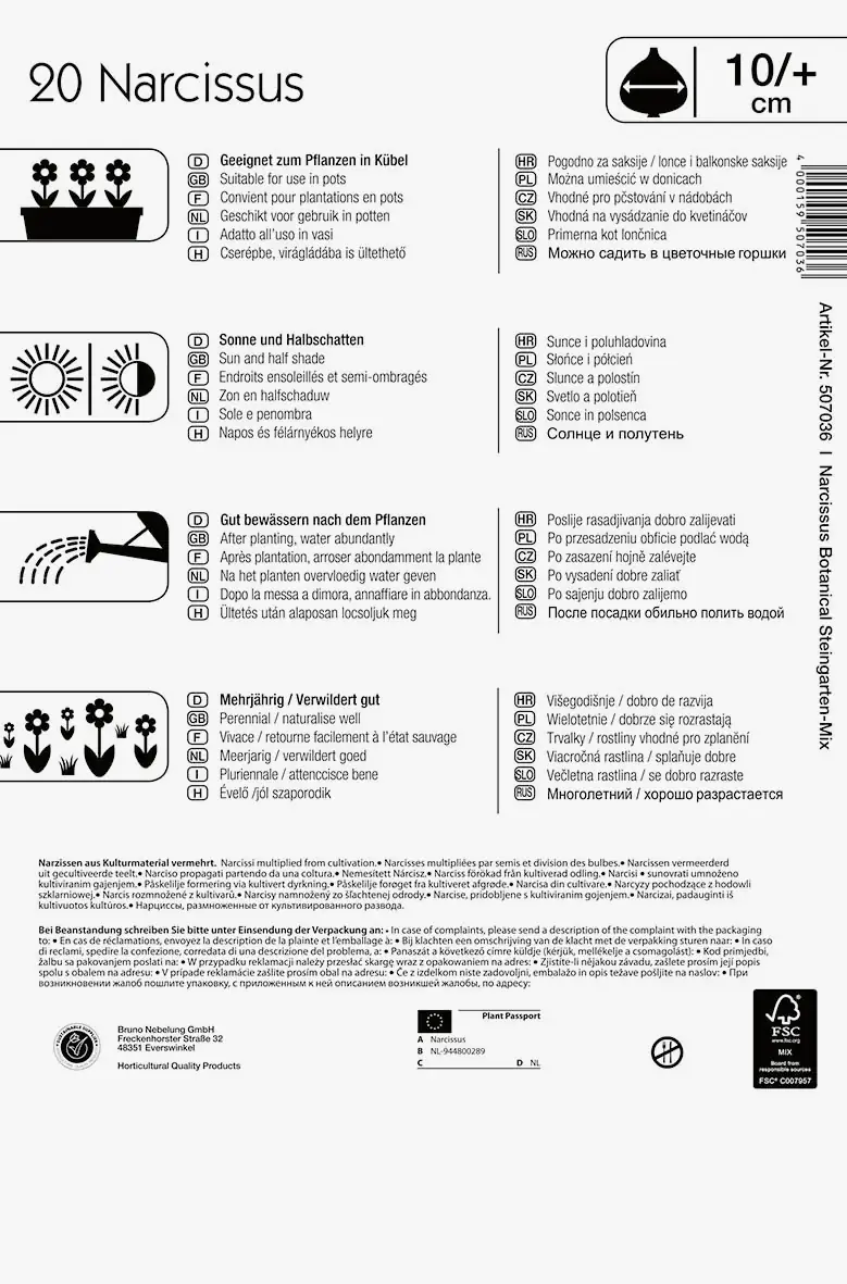 Mega-Pack Steingarten Narzissen Mischung Narcissus pseudonarcissus Mega-Pack Steingarten Narzissen Mischung Narcissus pseudonarcissus