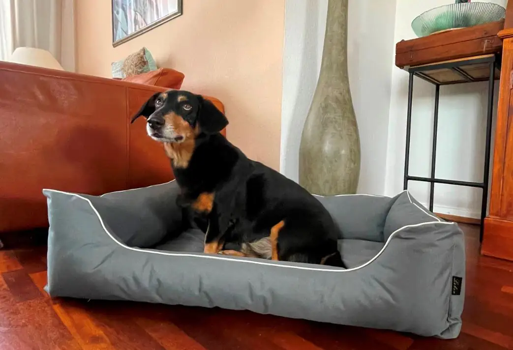 Lebon Hundebett Paula eckig grau