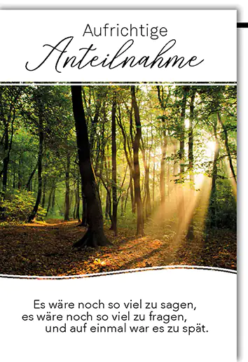 Trauerkarte Sonniger Wald A6