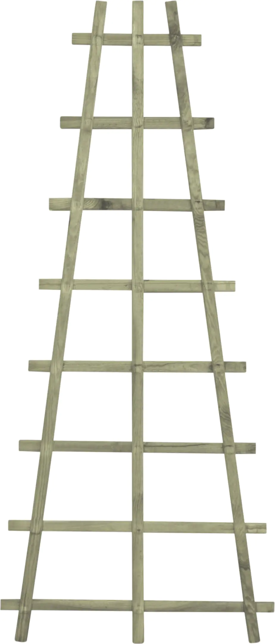 Trapezrankgitter Vera Kiefer 150 x 65 cm kesseldruckimprägniert