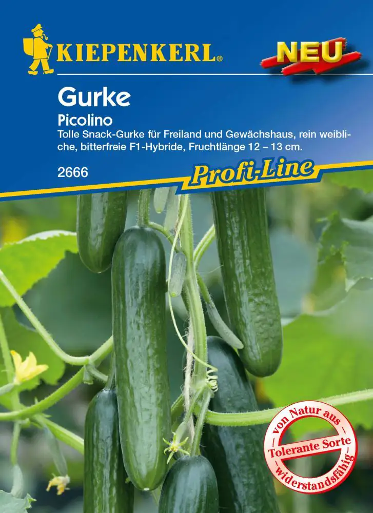 Kiepenkerl Schlangengurke Midios Cucumis sativus, Inhalt: 5 Korn