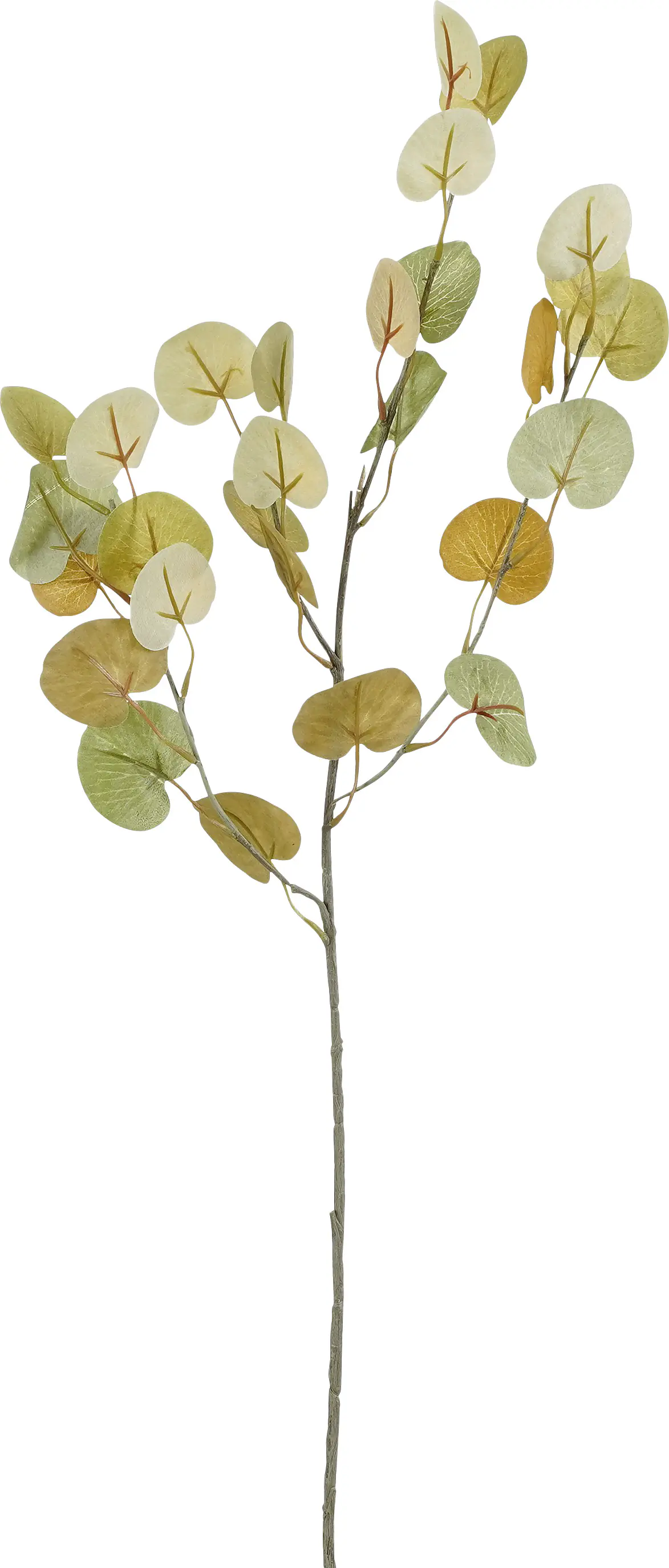 Mica Decorations Kunstpflanze Eukalyptuszweig 73 cm grün-braun