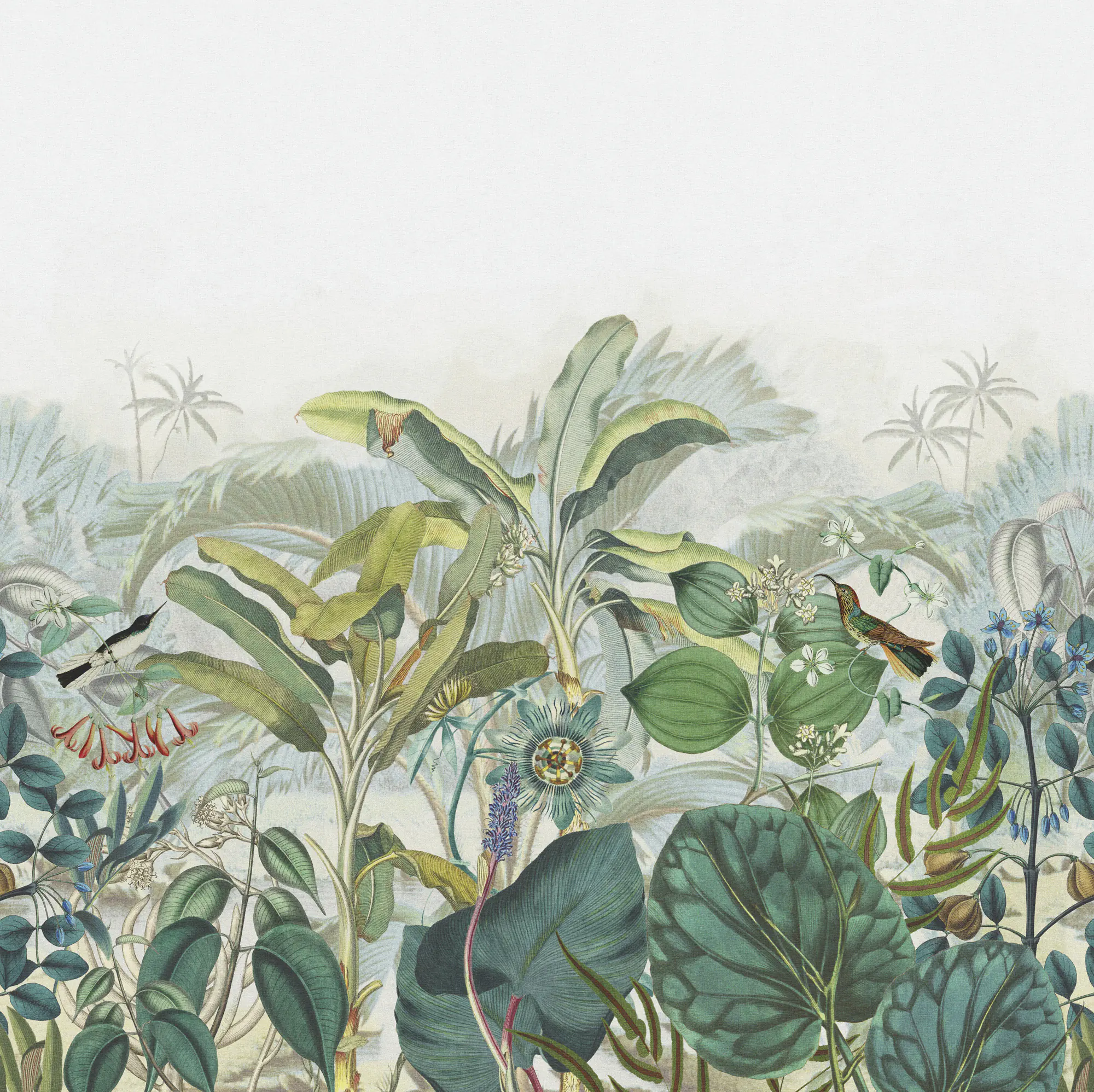 Rasch Vlies Fototapete 543650 Blau-Petrol hell Muster & Motive 2,65 m x 2,65 m