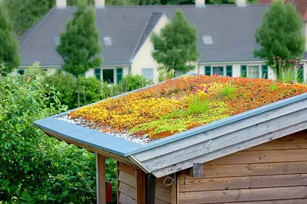 Begrüntes Garagendach mit bunten Pflanzen als Beispiel für nachhaltige Dachbegrünung in einem Wohngebiet.