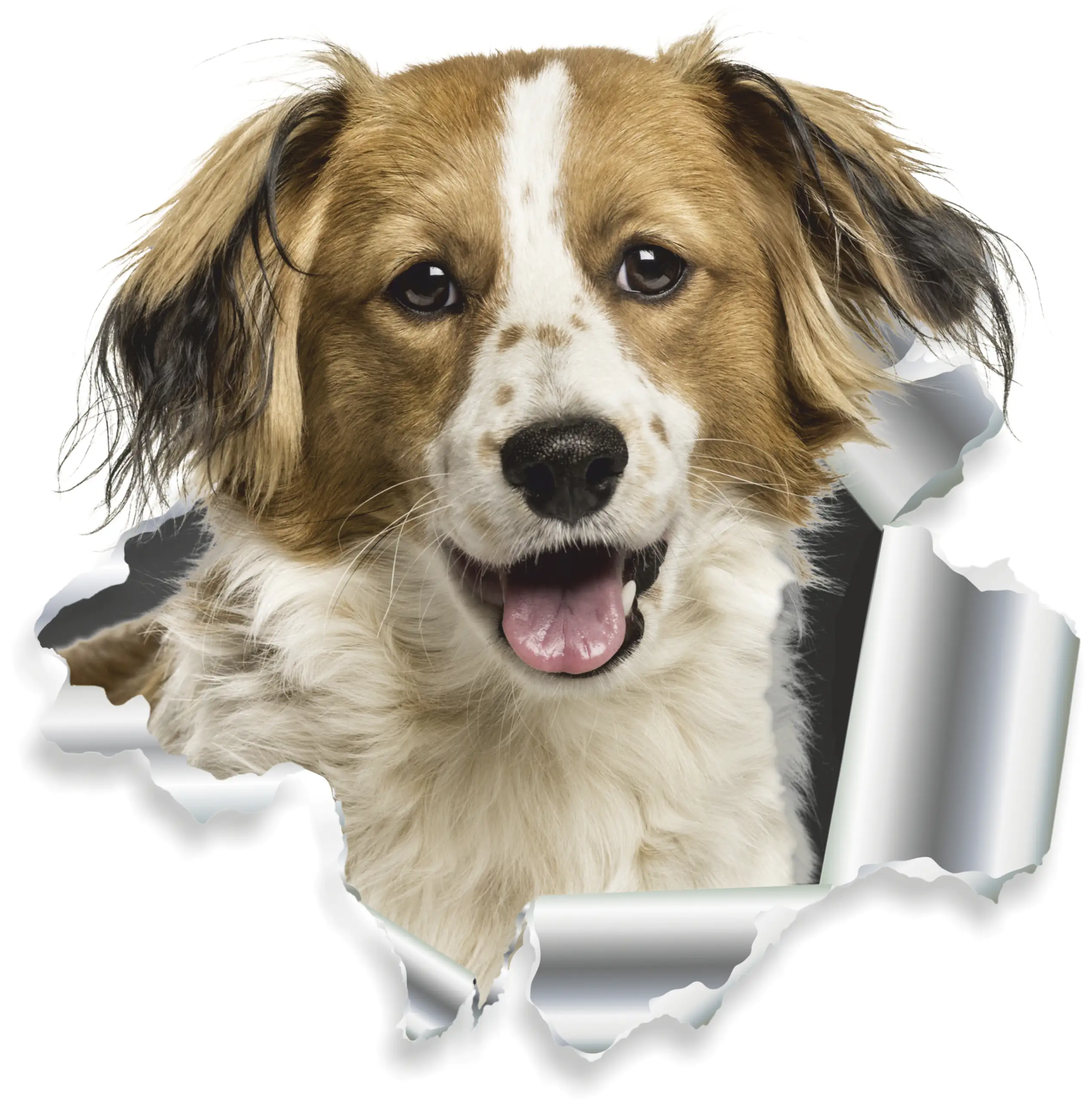 Hermann Schütz Aufkleber Einschussloch Hund