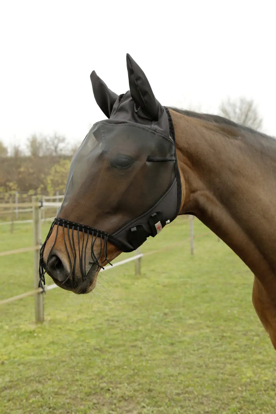 Kerbl Covalliero Fliegenschutzmaske Full mit Ohrenschutz und Nüsternkordel