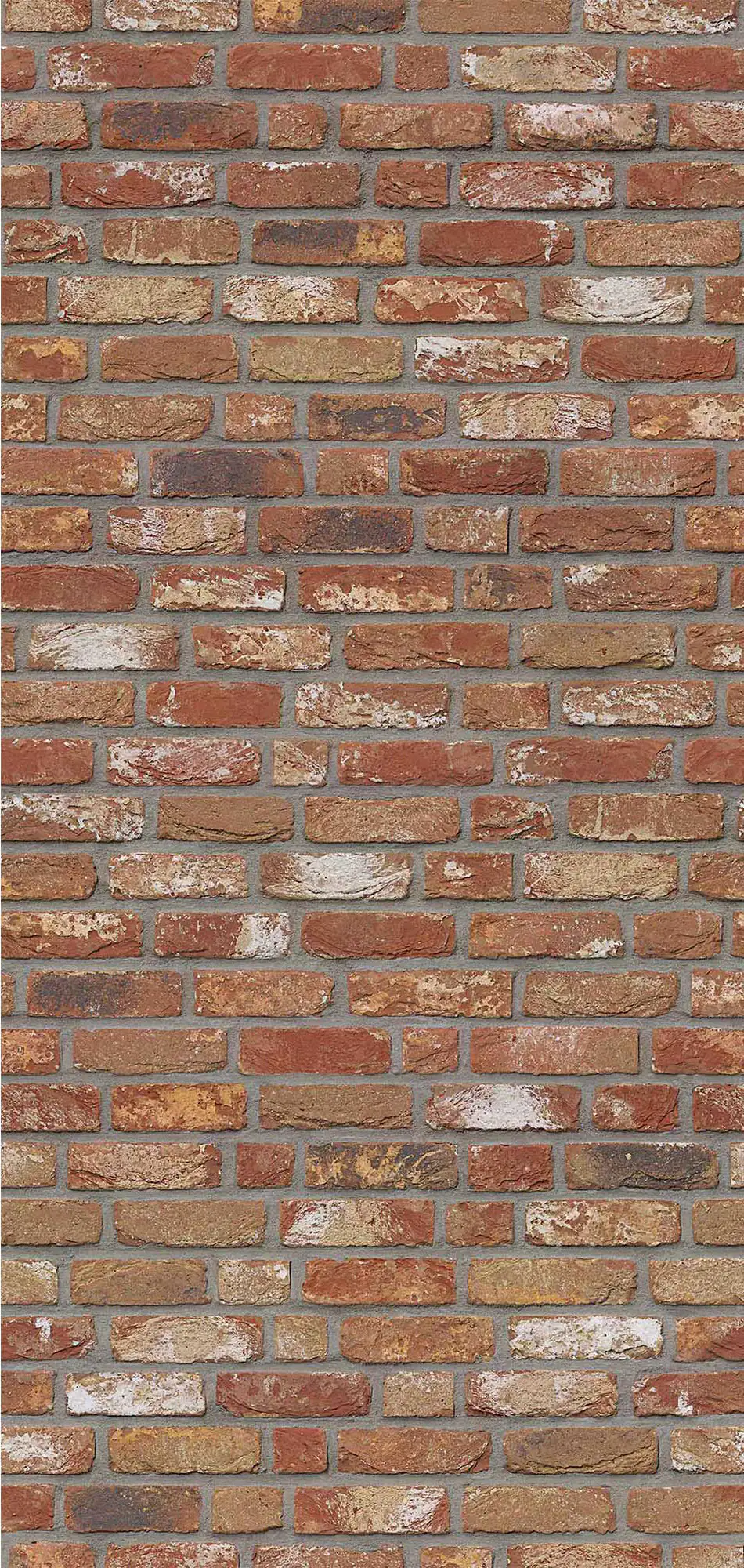 Breuer Duschrückwand Mauer-Optik Rot Dekor 100 x 255 x 0,3 cm