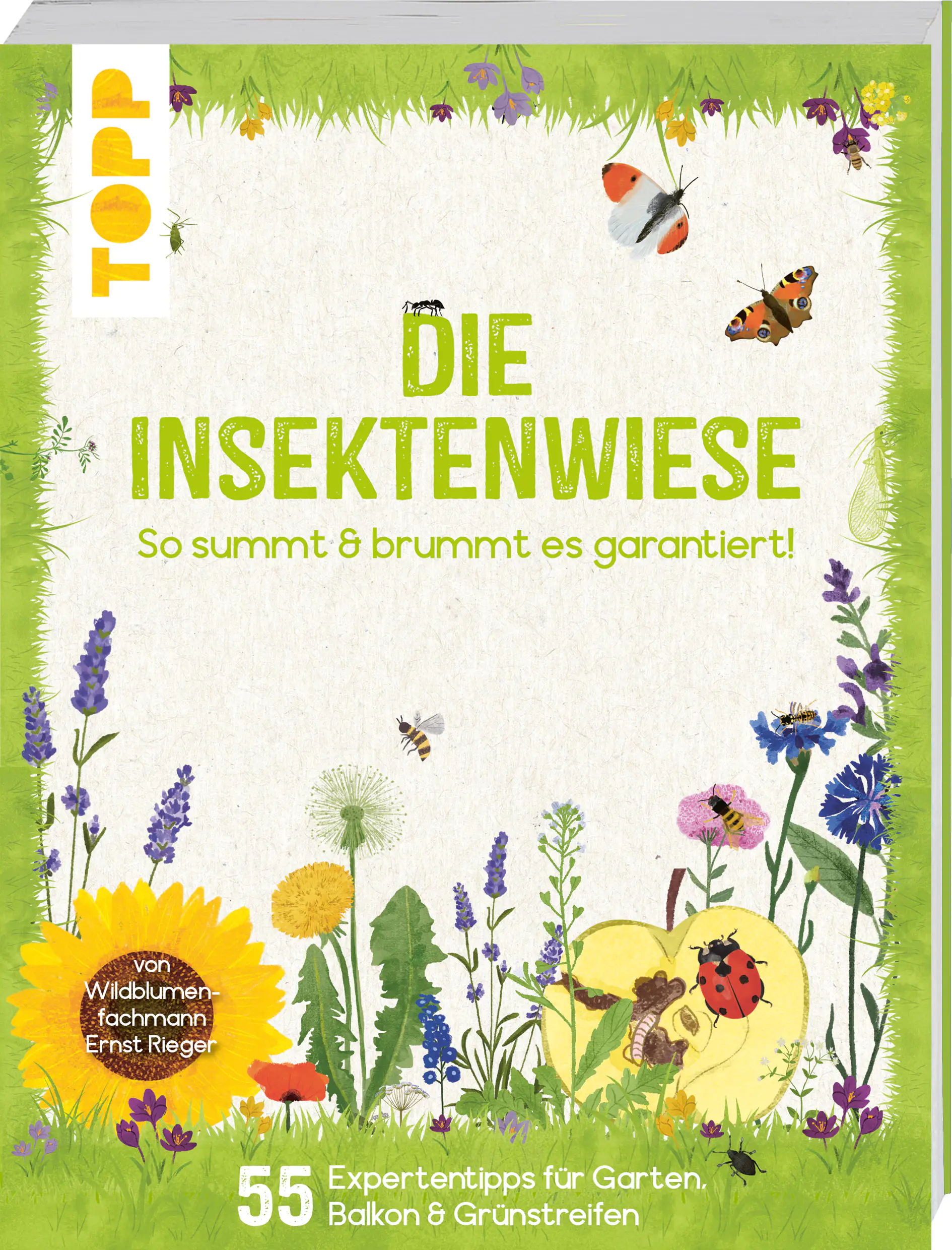 Die Insektenwiese: So summt & brummt es bestimmt! Die Insektenwiese: So summt & brummt es bestimmt!