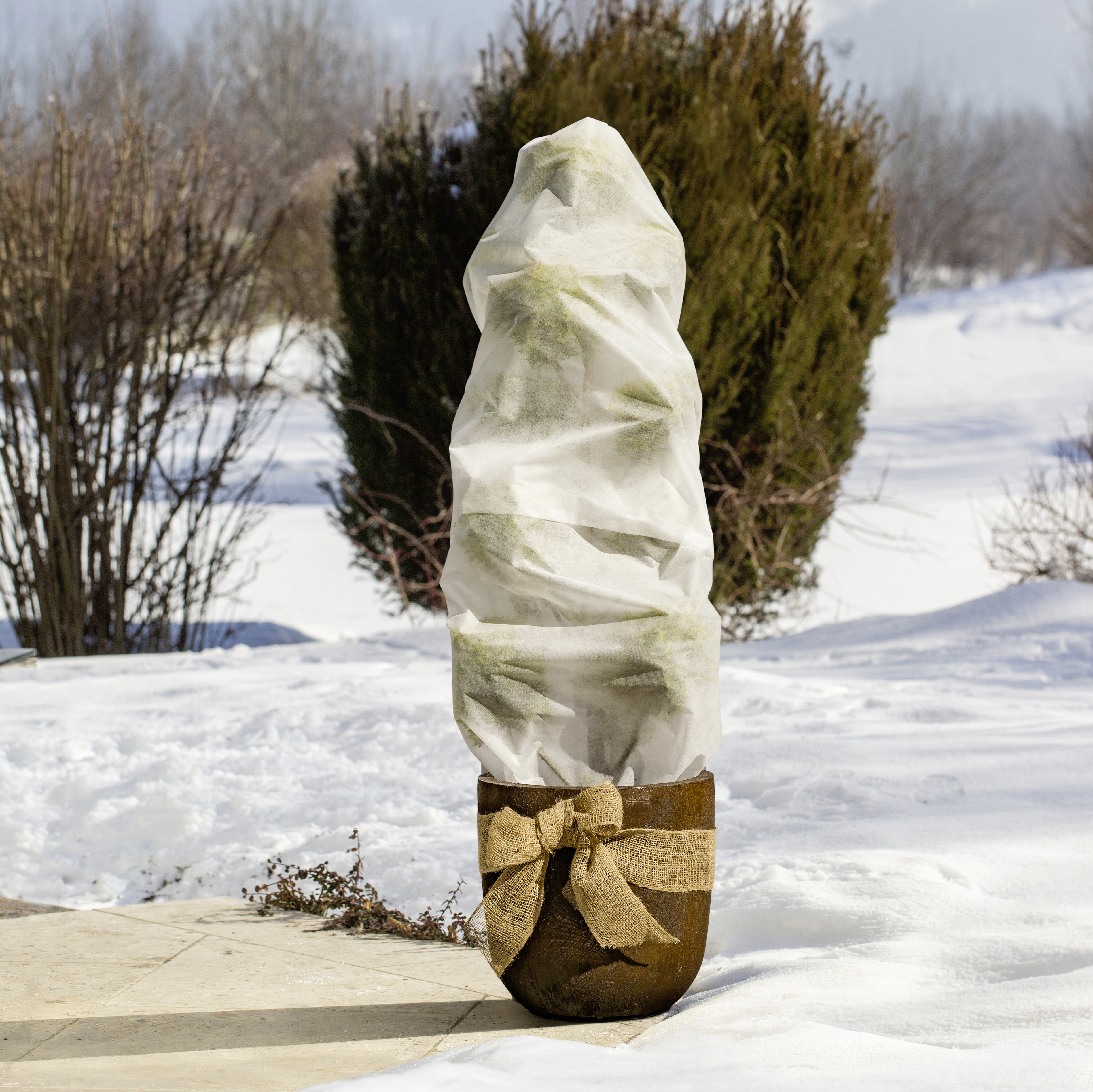 Windhager Öko-Wintervlies 1,5 x 5 m