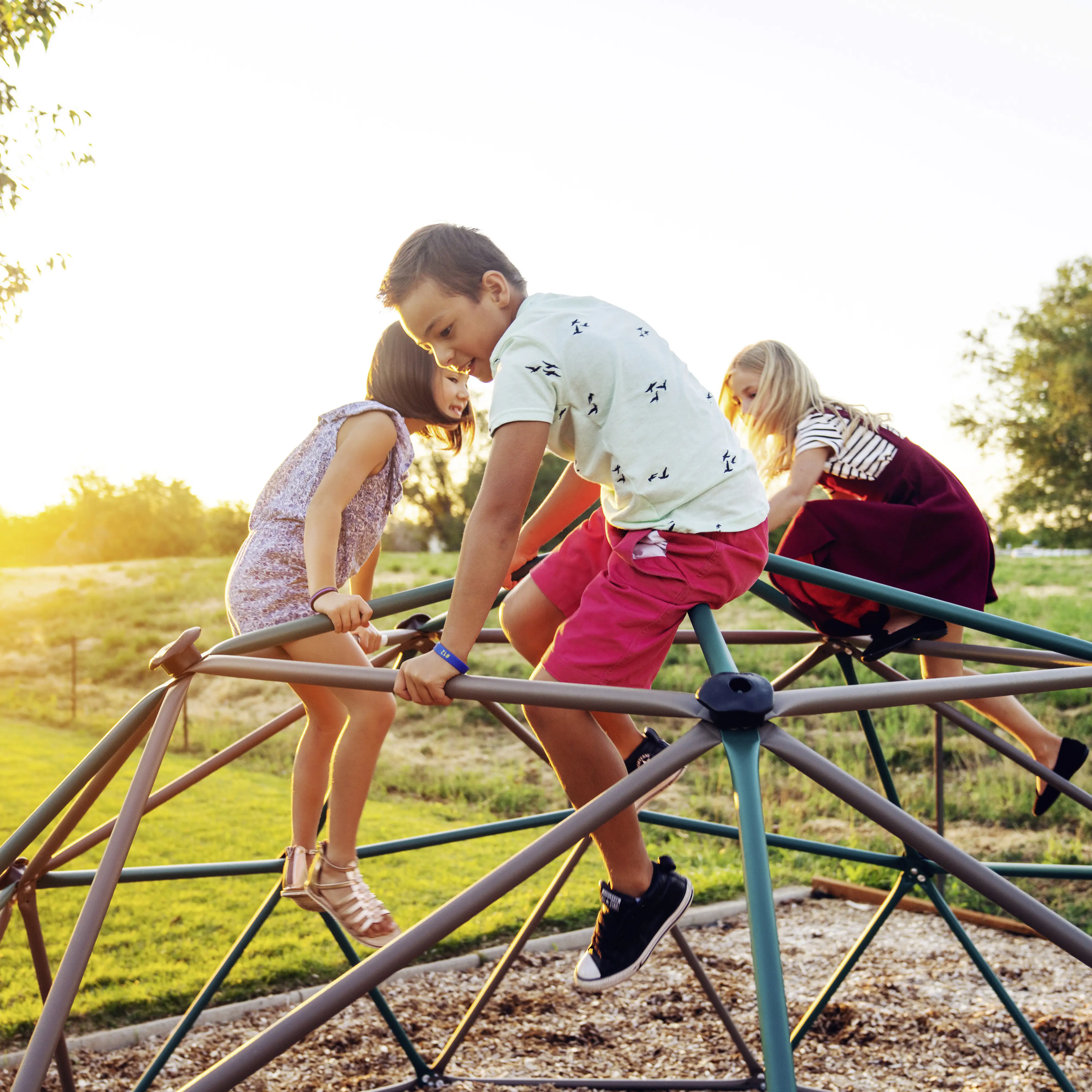 0081483826332_3018970 Lifetime Kletterkugel Geodome grün bronze mit Abdeckung Spielzelt 305 x 152 cm